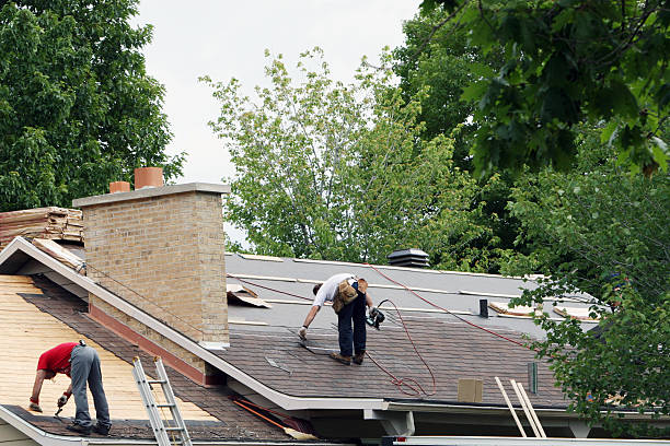 Best Commercial Roofing Services  in Demopolis, AL