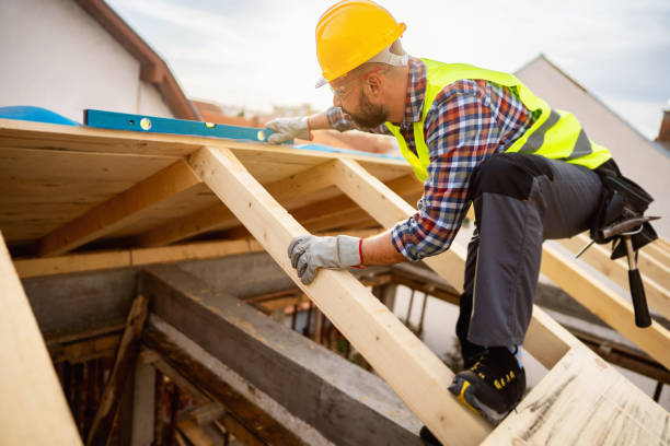 Best Storm Damage Roof Repair  in Demopolis, AL