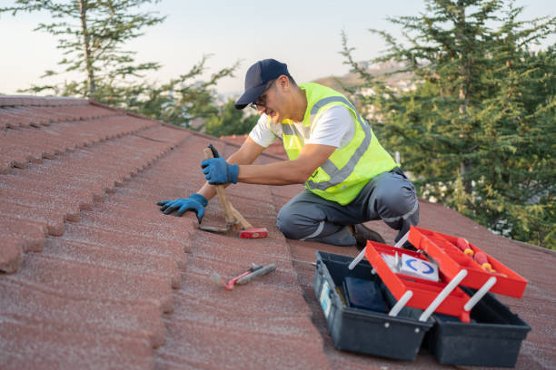 Professional Roofing Contractor in Demopolis, AL