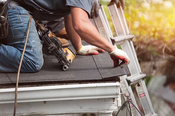 Best Commercial Roofing Services  in Demopolis, AL