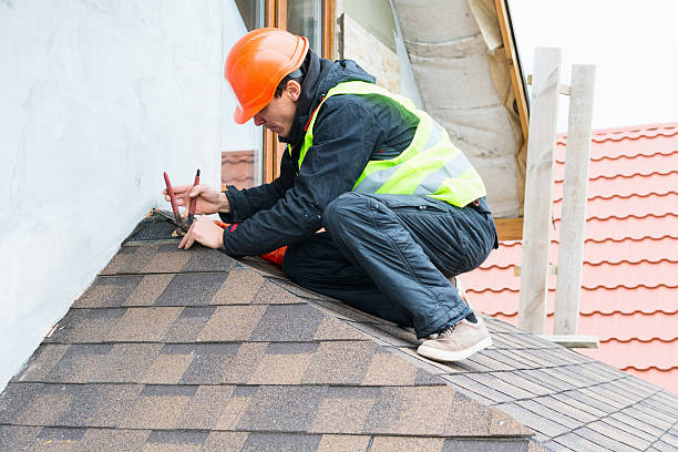 Best Residential Roofing Contractor  in Demopolis, AL