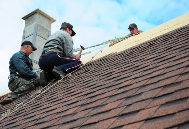 Best Residential Roofing Contractor  in Demopolis, AL